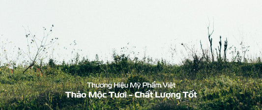 Câu Chuyện DaoiDa