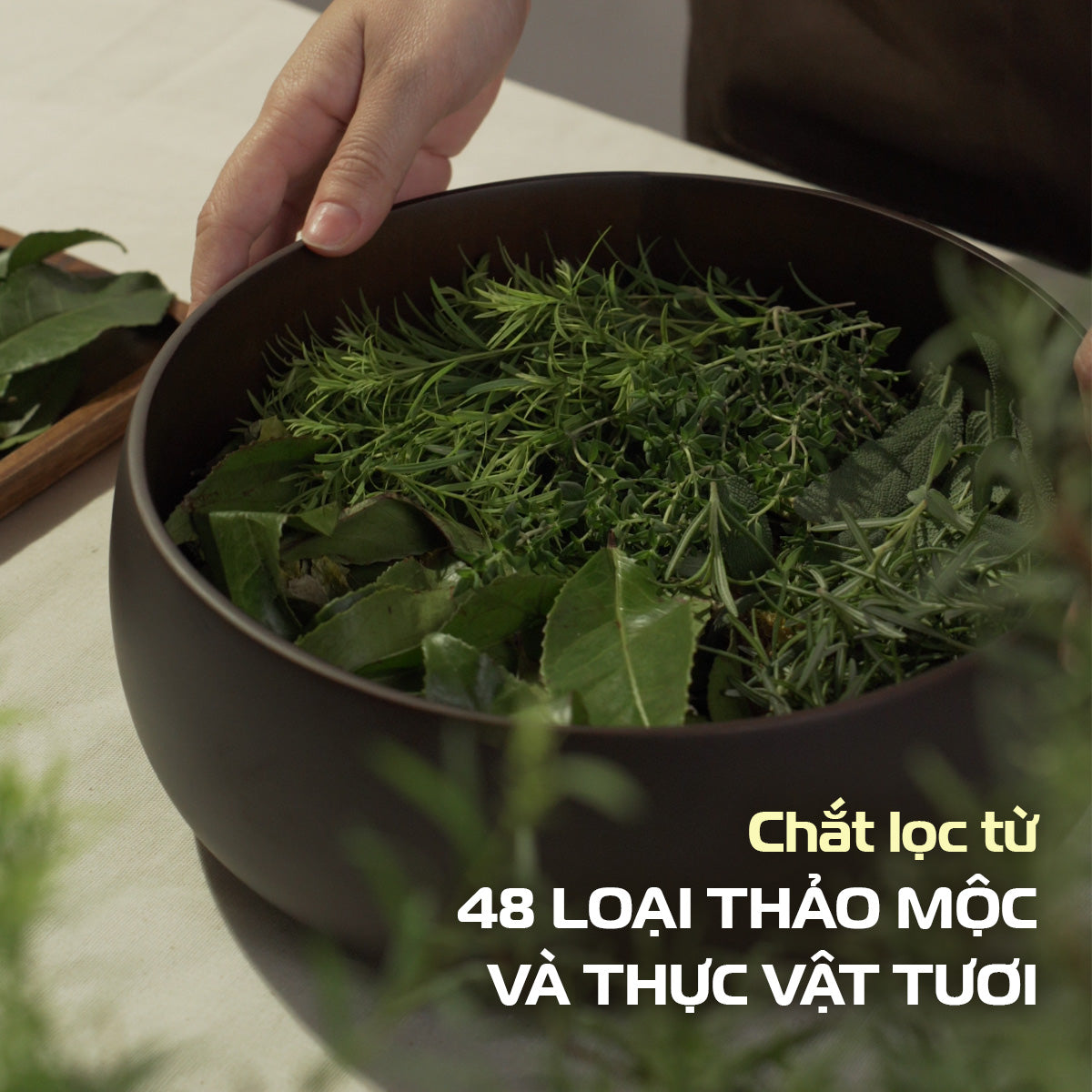 Bánh Rửa Mặt Cải Thiện Mụn Đầu Đen (120g)