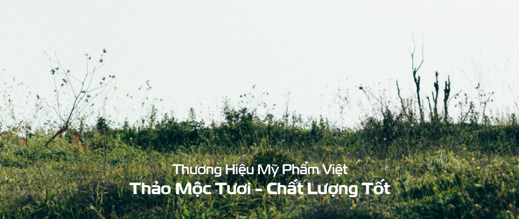 Câu Chuyện DaoiDa