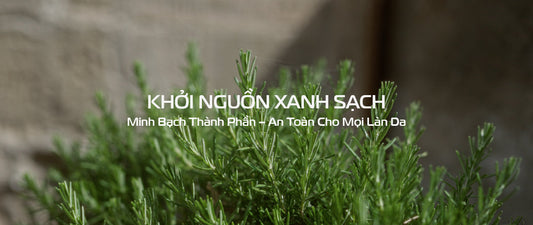 Bảng Thành Phần