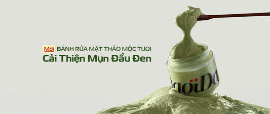 Ra Mắt Bánh Thảo Mộc Tươi