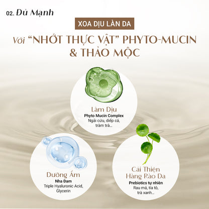 Bộ 3 cấp ẩm & làm dịu da Trouble Calming DaoiDa