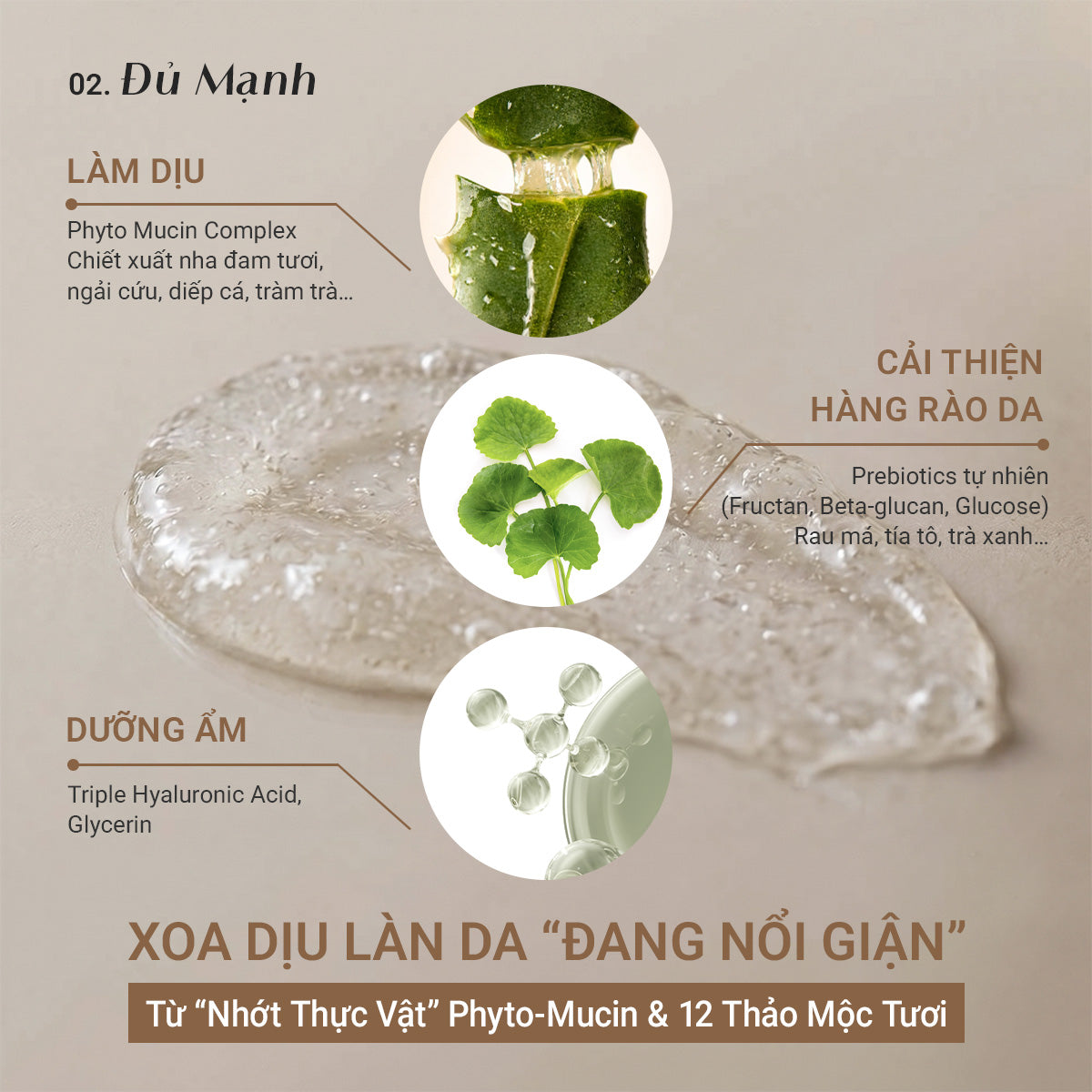[ĐỘC QUYỀN] Serum Nhớt Thực Vật Làm Dịu Da